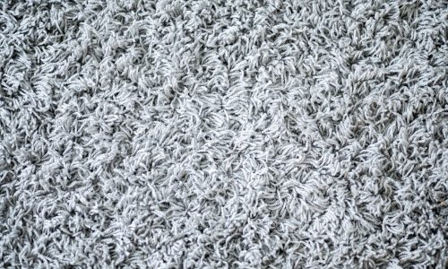soft white carpet indoors background 181624 30396 soft white carpet indoors background 181624 30396